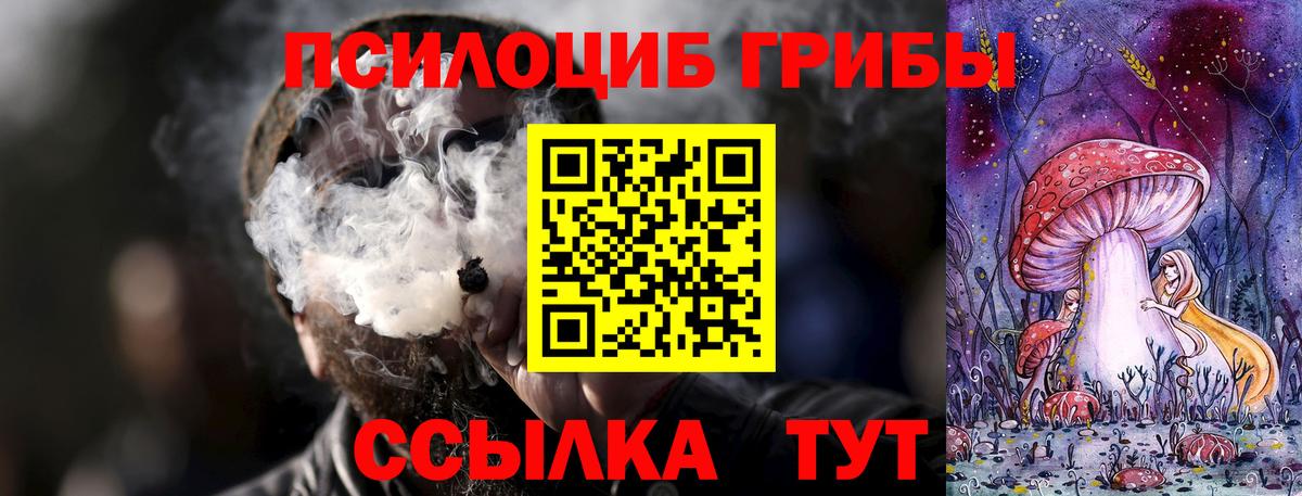 Мирный  Галлюциногенные грибы GOLDEN TEACHER  сколько стоит  Вход с VPN 